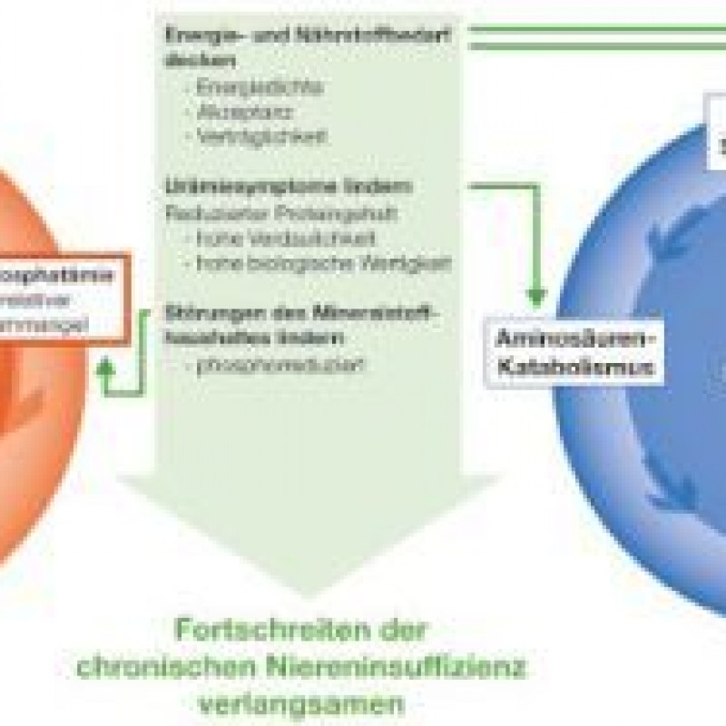 Nierendiäten für Katzen mit chronischer Niereninsuffizienz hundkatzepferd